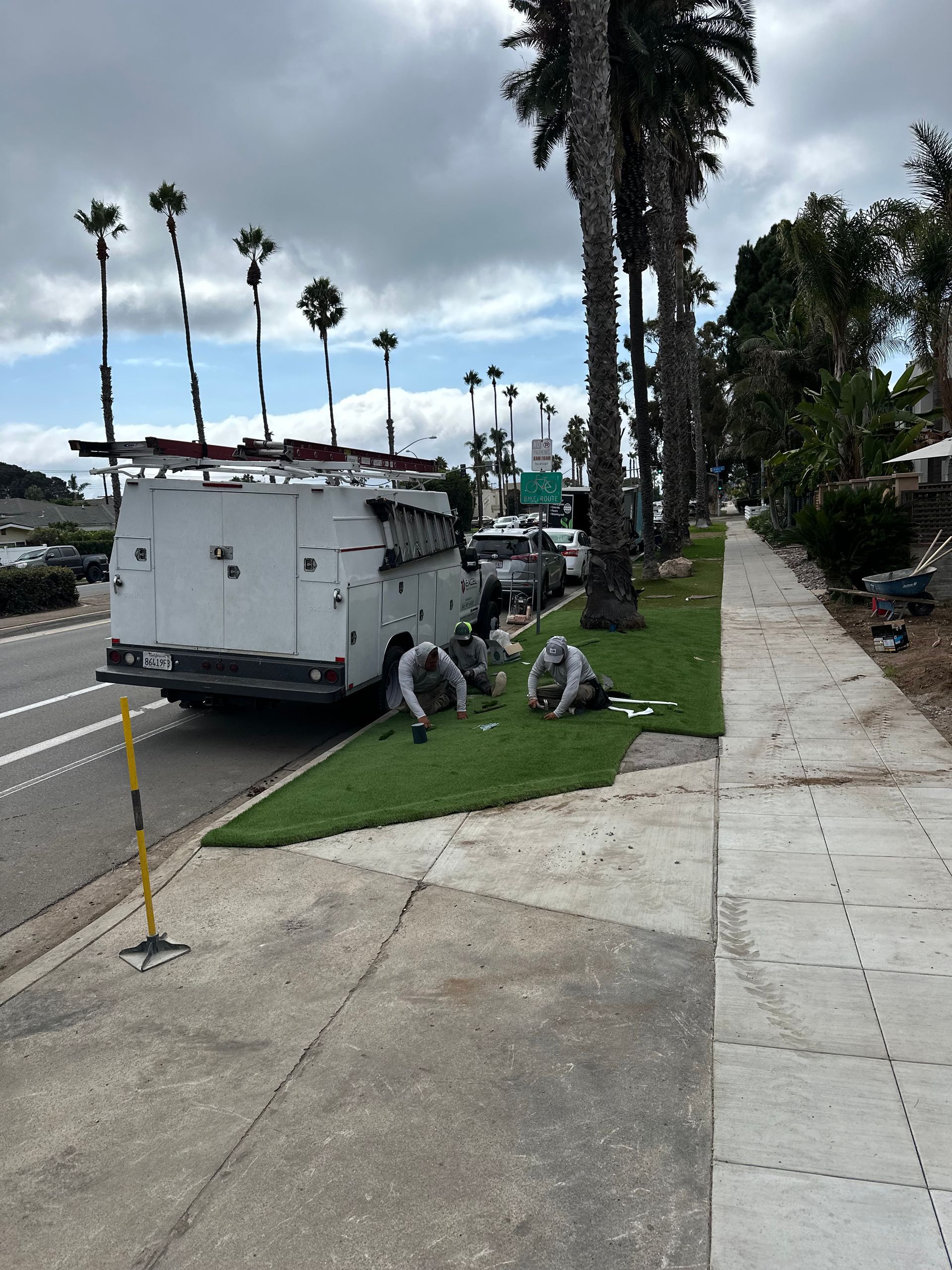 A utility truck parked on a grassy verge next to a sidewalk with palm trees lining the road under a cloudy sky.