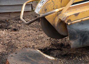 Learn More About Stump Grinding Stump Grinding