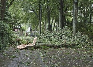 Learn More About Clean-Out Services Clean-Out Services