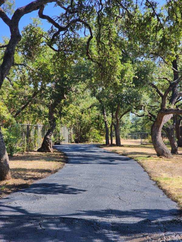 a road surrounded by trees on a sunny day