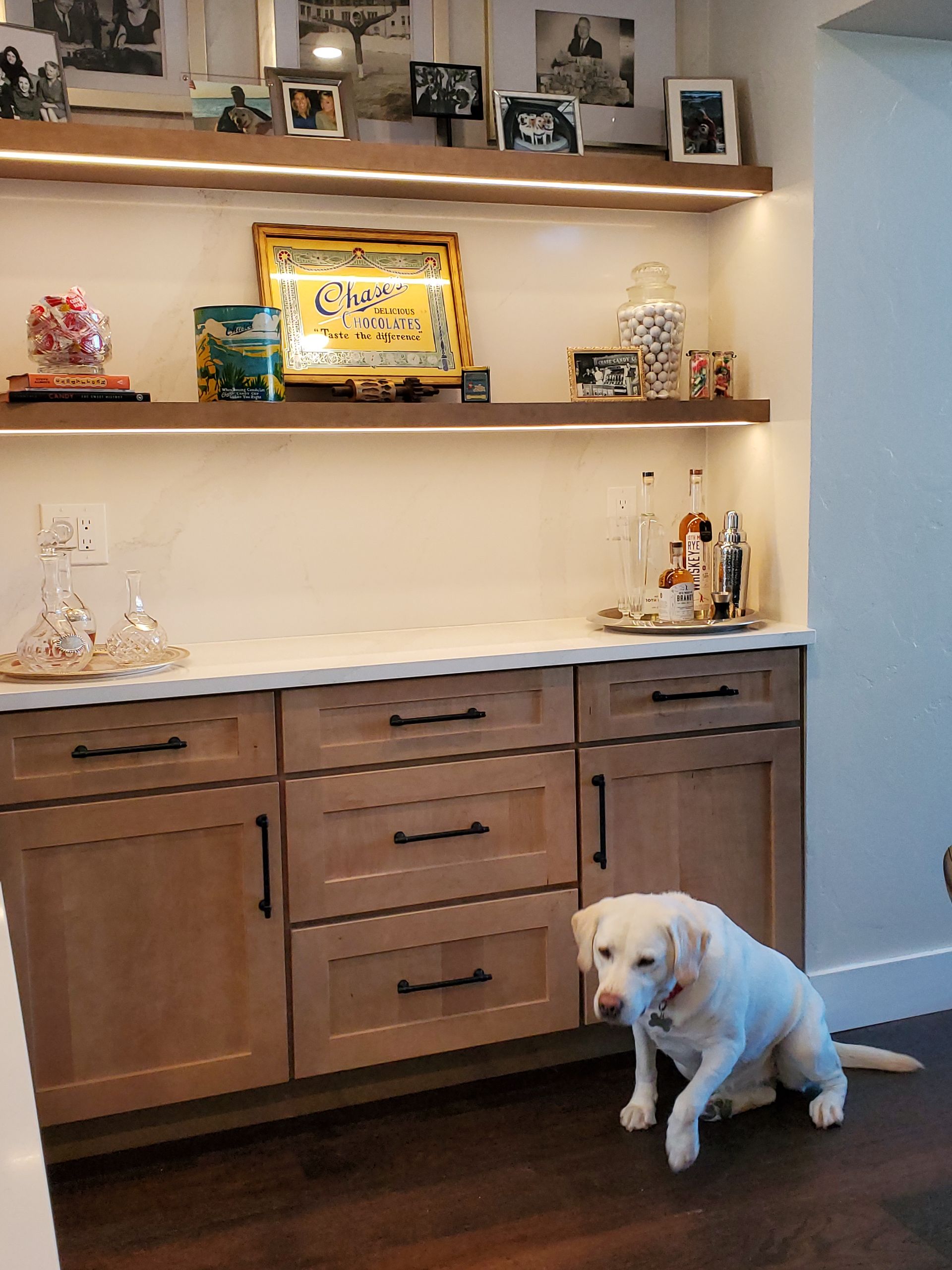 A white dog sits in front of a built-in cabinet with shelves displaying decor.