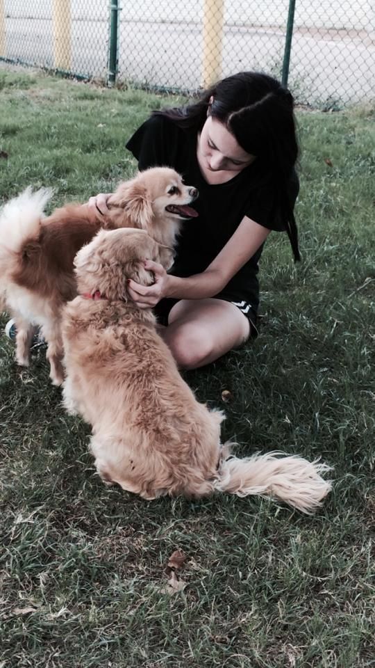 a woman is kneeling down in the grass with two dogs