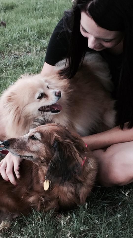 a woman is sitting on the grass with two dogs