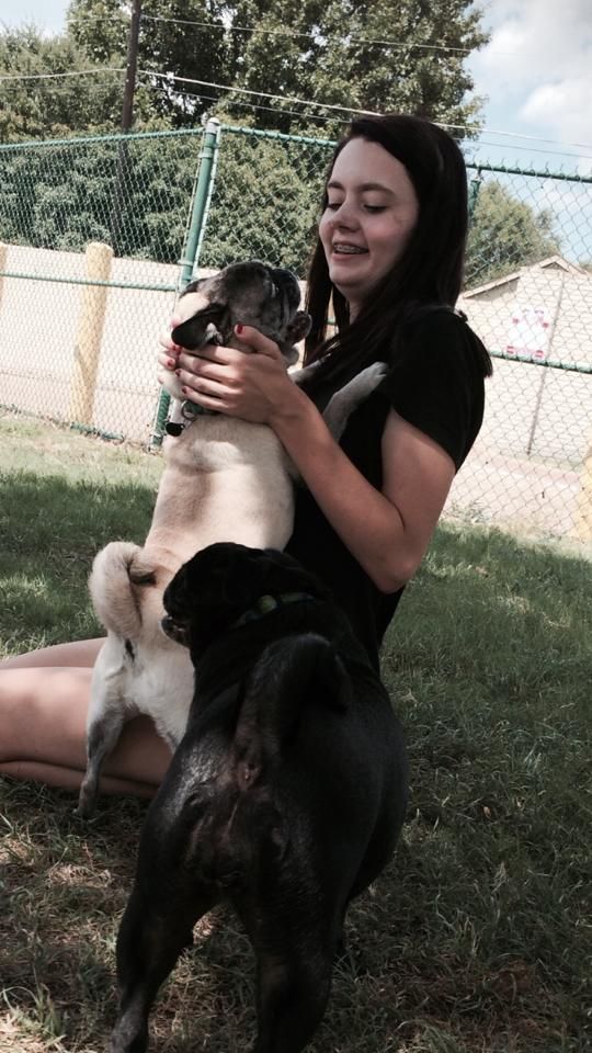 a woman is sitting on the grass holding two dogs