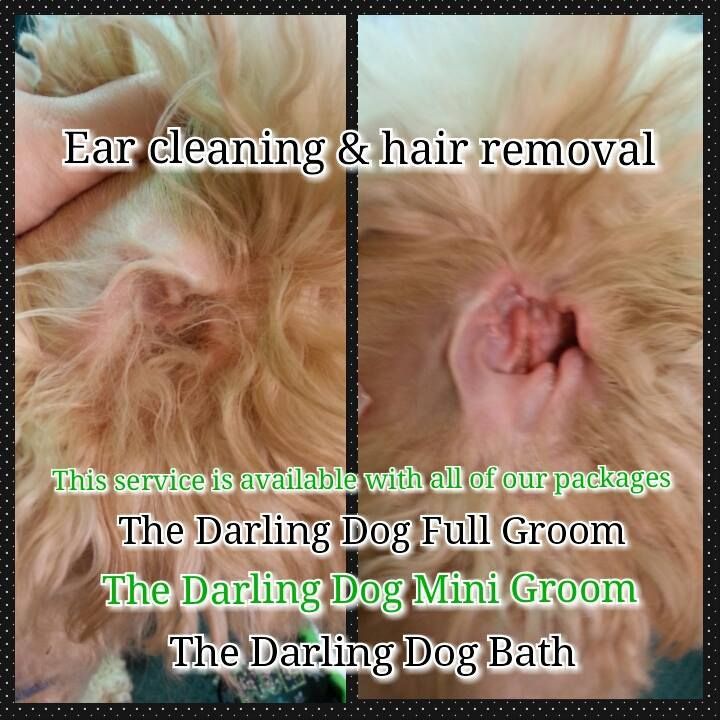 ear cleaning and hair removal is available with all of our packages