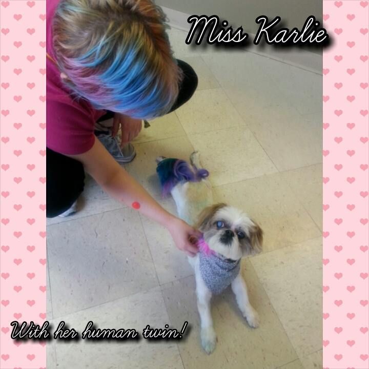 a woman with blue hair is petting a small dog named miss karlie