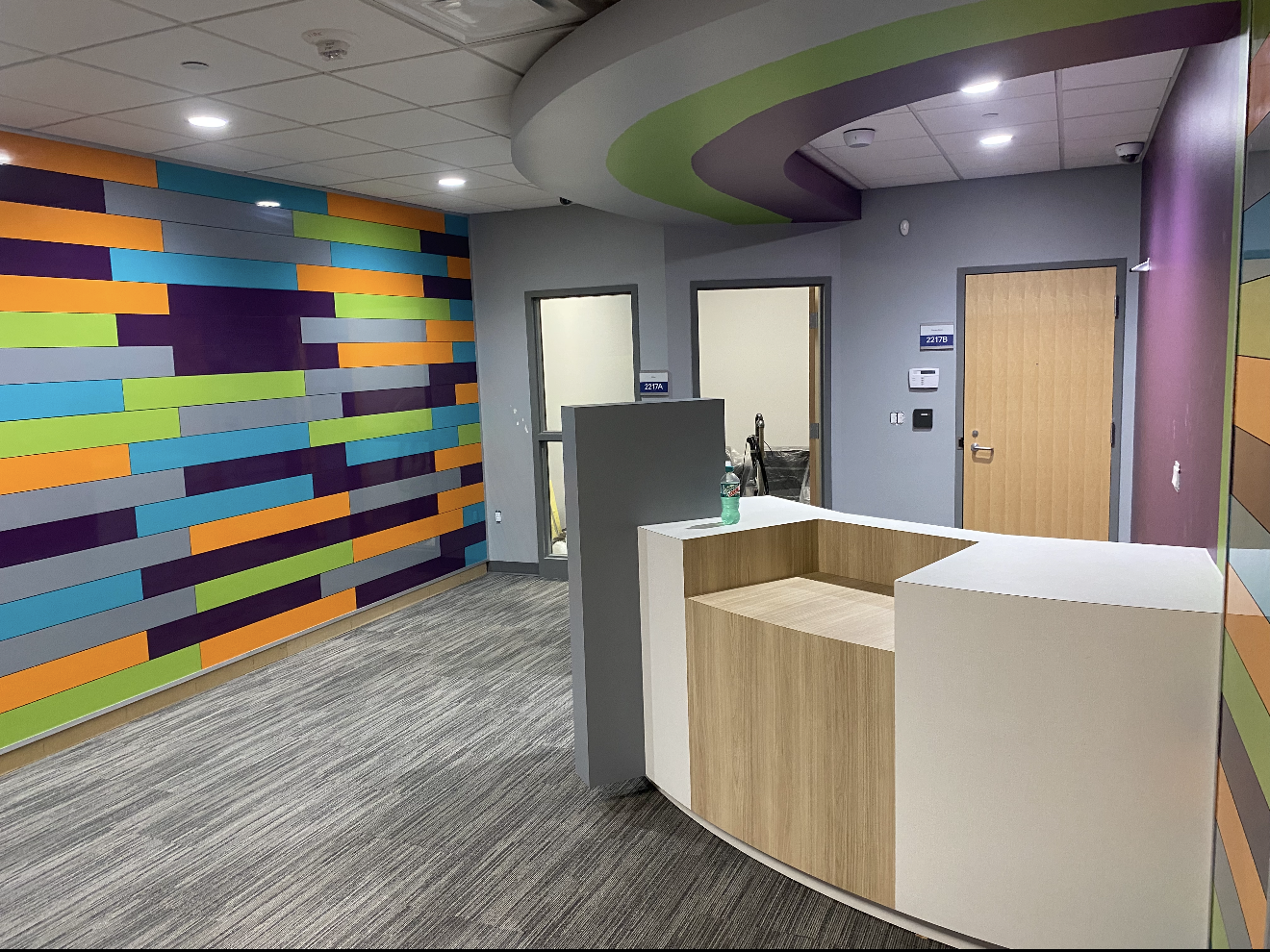 Reception area with colorful wall, curved ceiling, and light-wood reception desk.