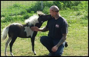 Man with baby horse