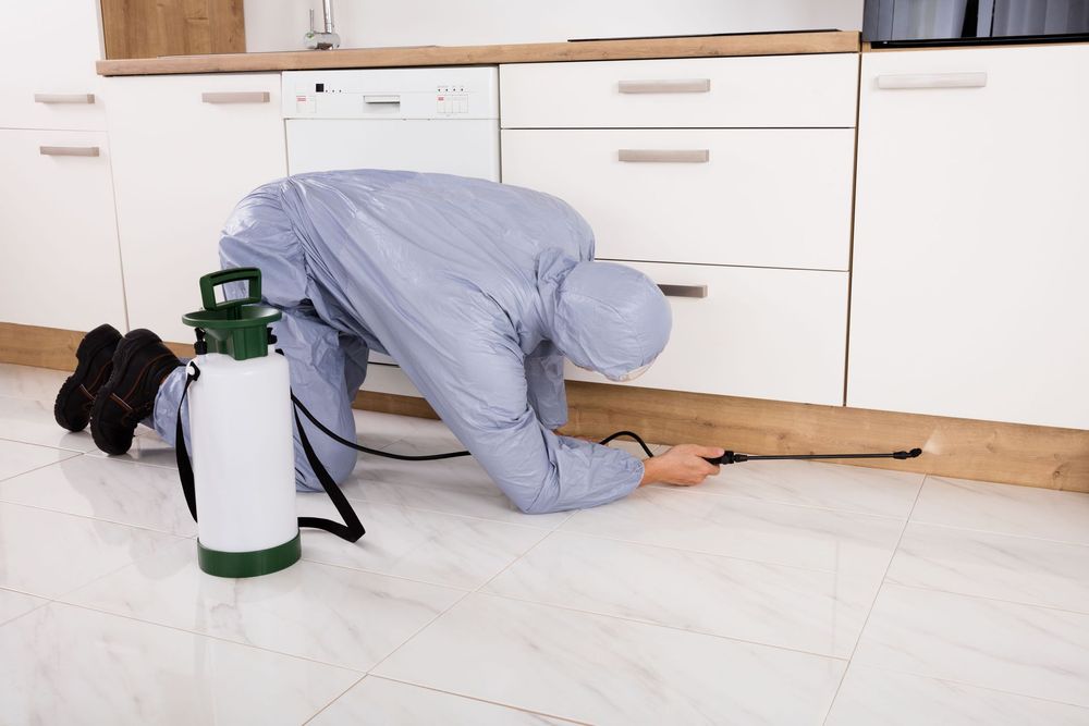 Precise Exterminating Service