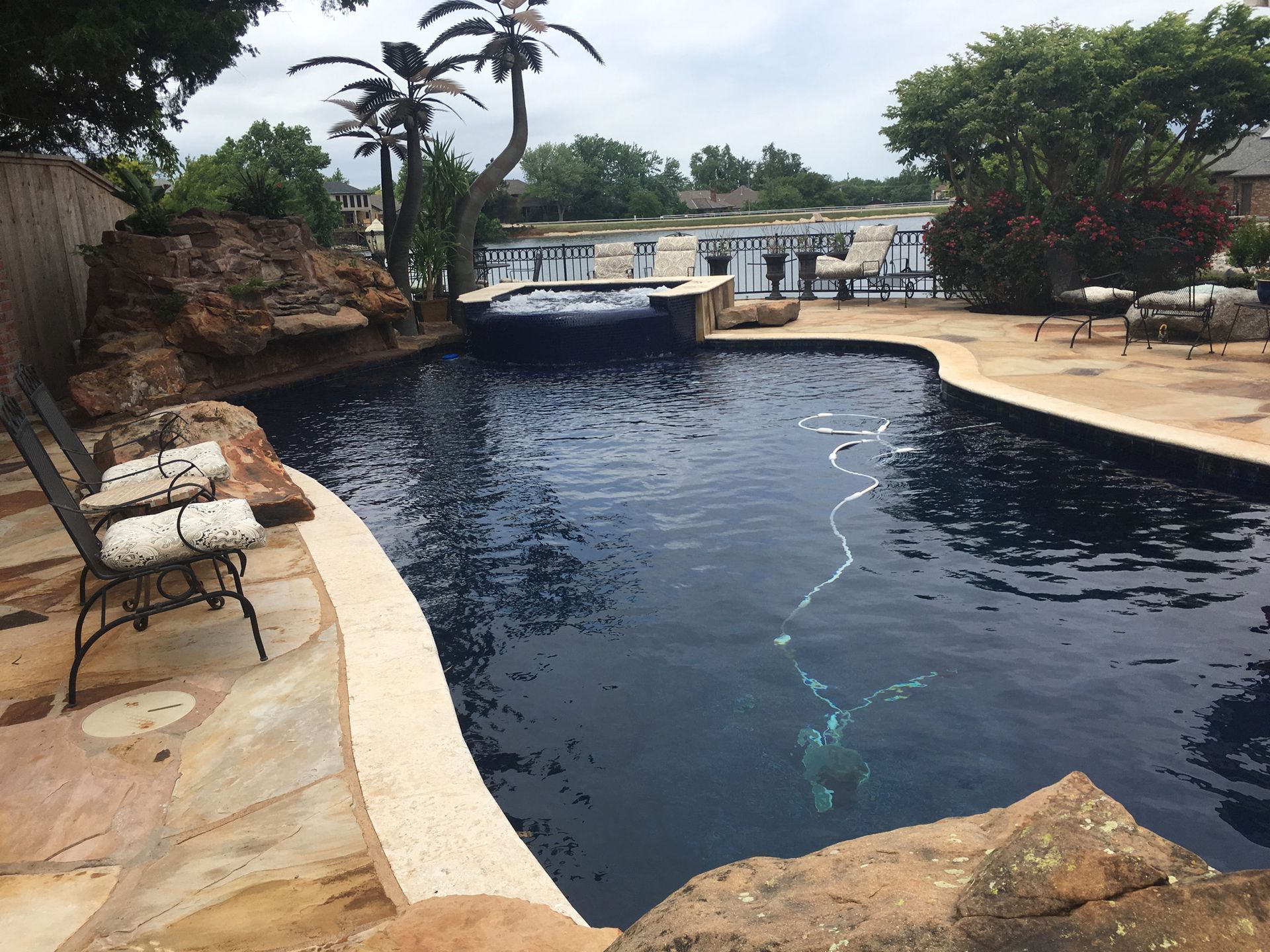 a large swimming pool with a palm tree in the background