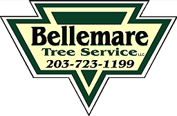 Bellemare Tree Service LLC - Logo
