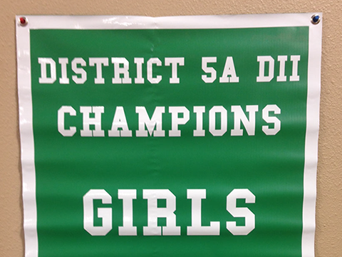A green sign that says district 5a dii champions girls