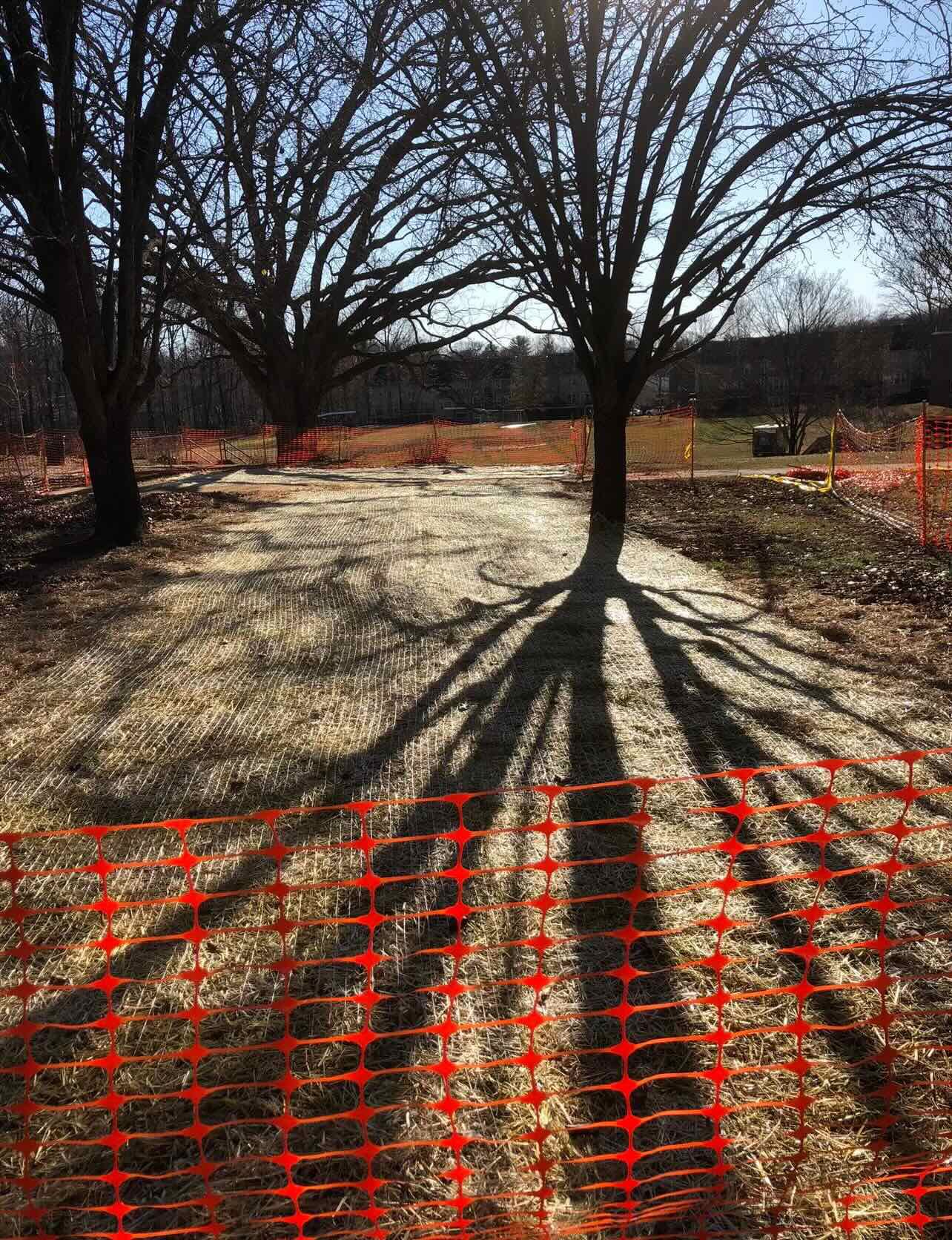 A shadow of a tree is cast on the ground behind an orange fence