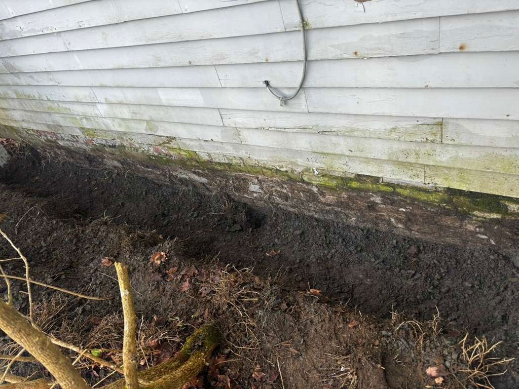 Muddy ground next to weathered siding. Green algae and a wire are visible.