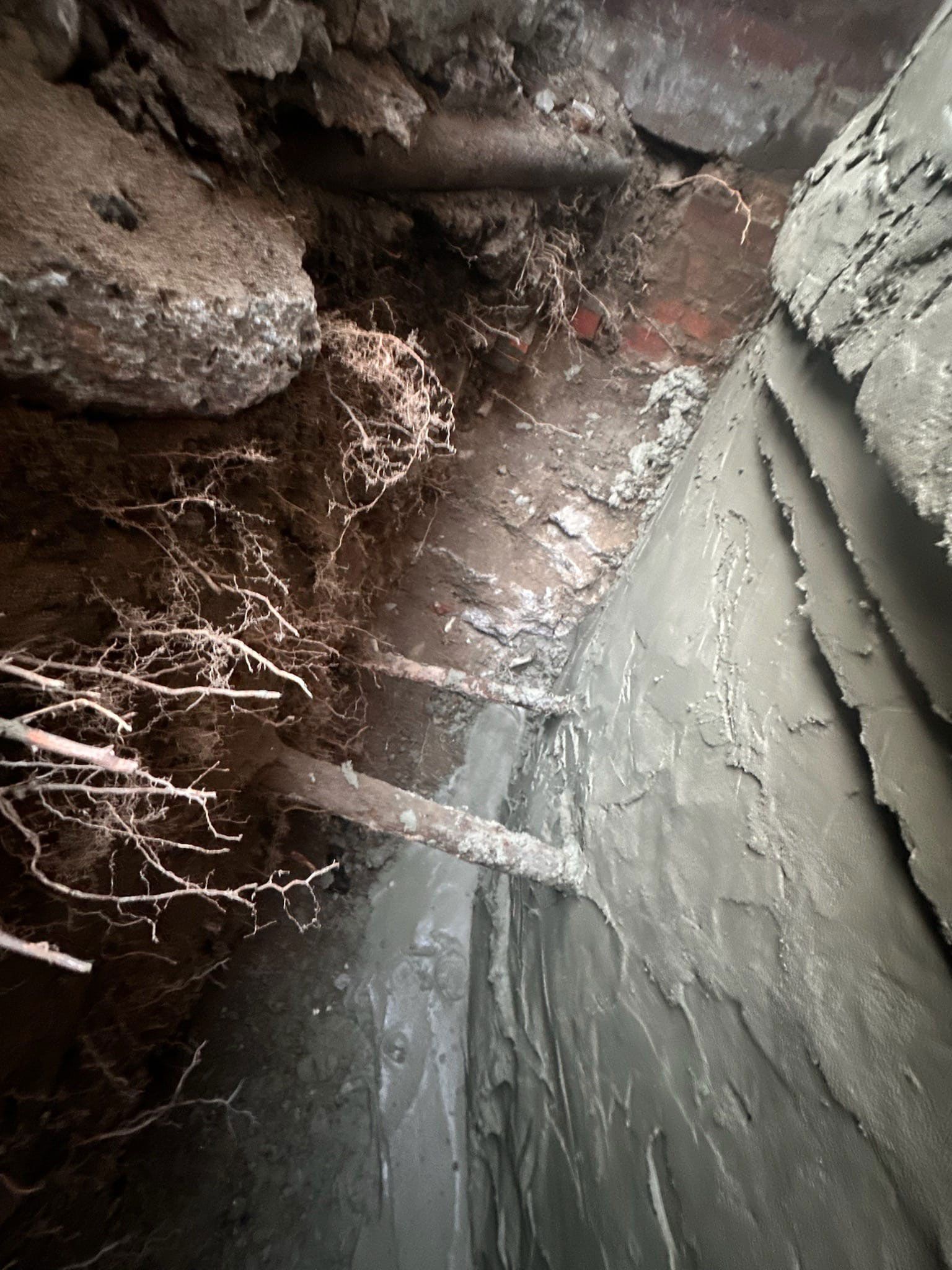 Excavated trench, showing a dark, vertical cavity with exposed roots and concrete surfaces.