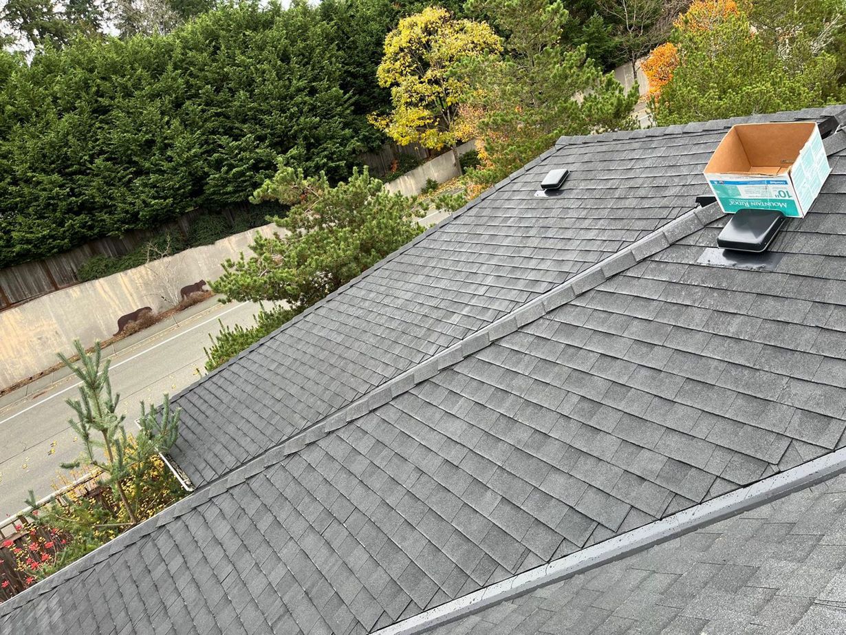Gray shingle roof with cardboard box on top, trees in the background, a road is visible below.