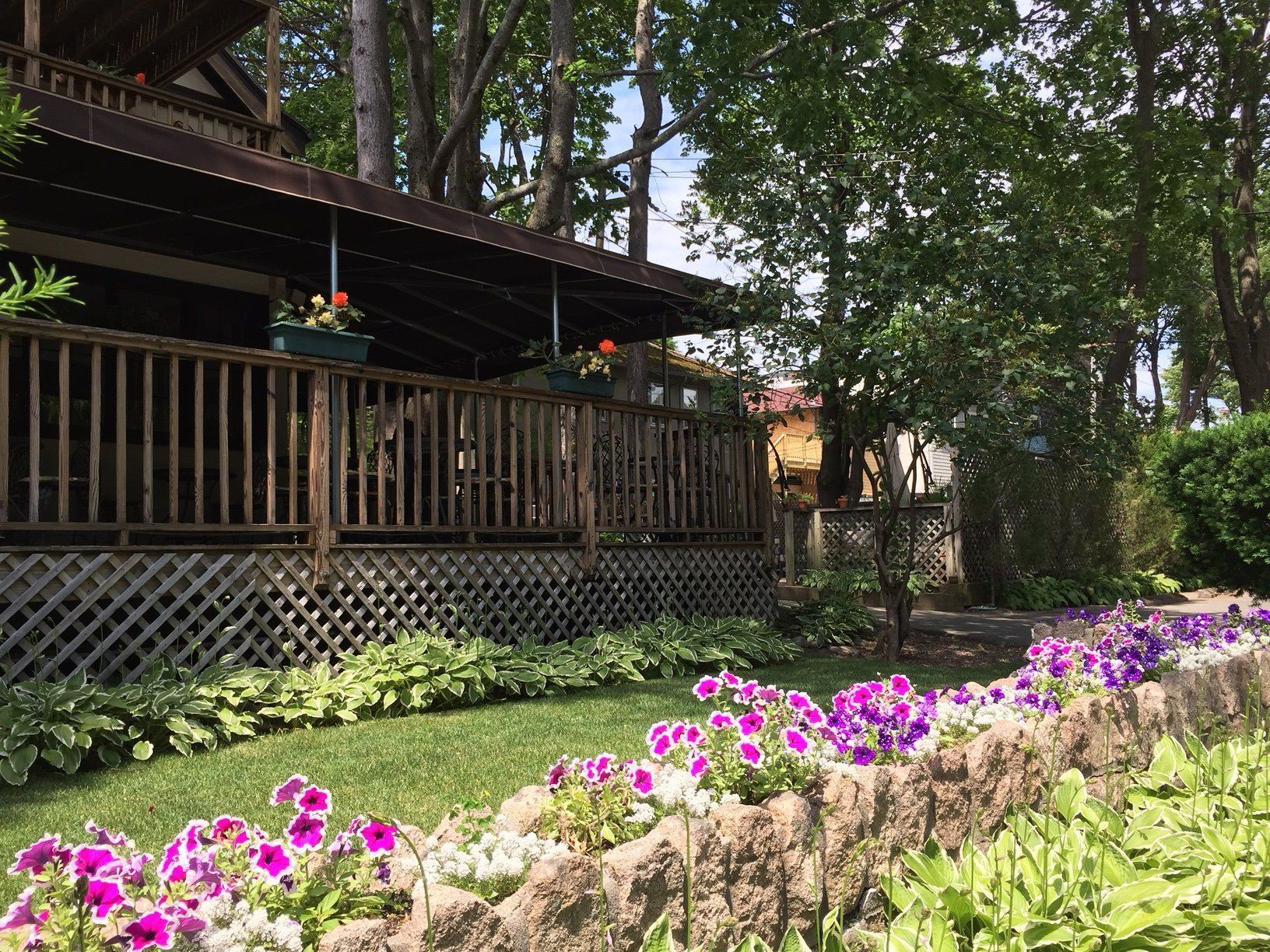 Wooden deck with purple flowers, greenery, and a tree-lined background on a sunny day.