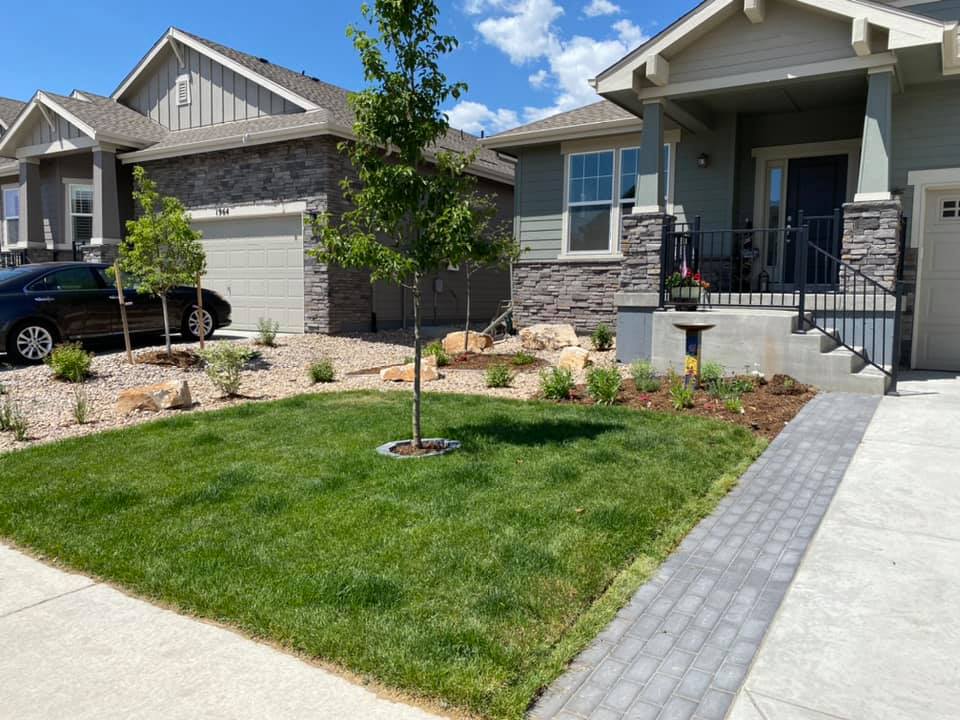 Landscape design and installation