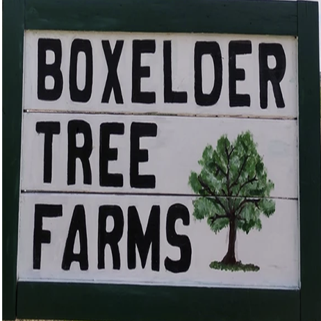 tree supplier
