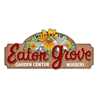 Our local go-to for natively grown plants. Eaton Grove has what makes our landscapes beautiful