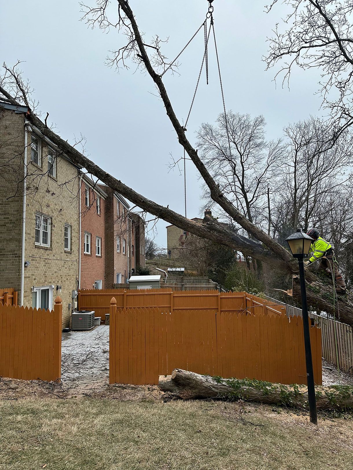A tree branch is hanging over a wooden fence in front of a building.