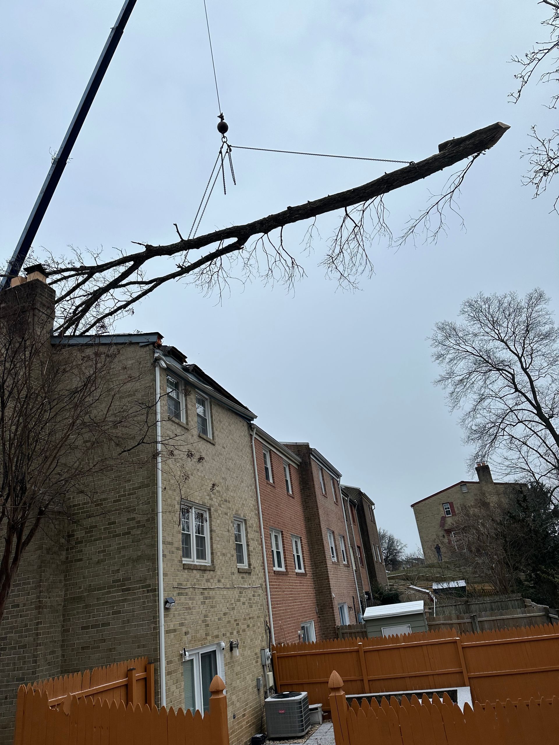 A tree branch is hanging from a power line in front of a building.