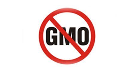 GMO