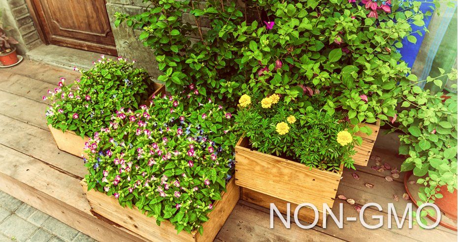 Vitamins and essential oils