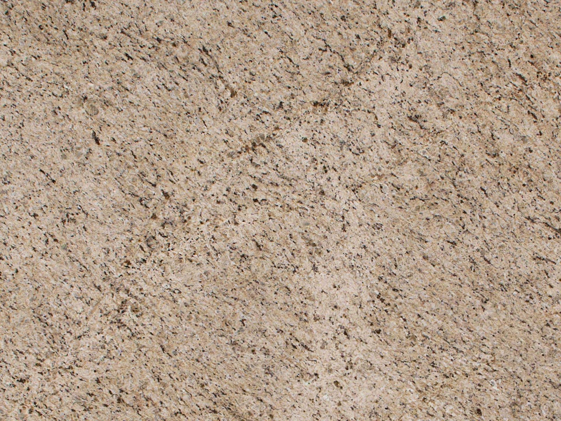 Close-up of a rough, light tan stone surface with small, dark flecks.