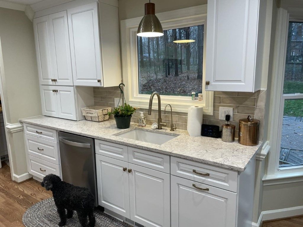 White kitchen with dog, stainless steel appliances, granite countertops, and a window overlooking trees.