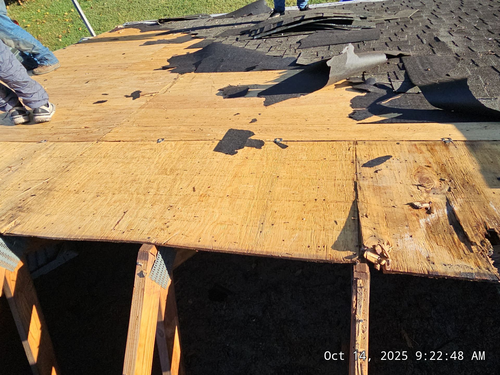 Roof being repaired: damaged shingles removed, exposing plywood.