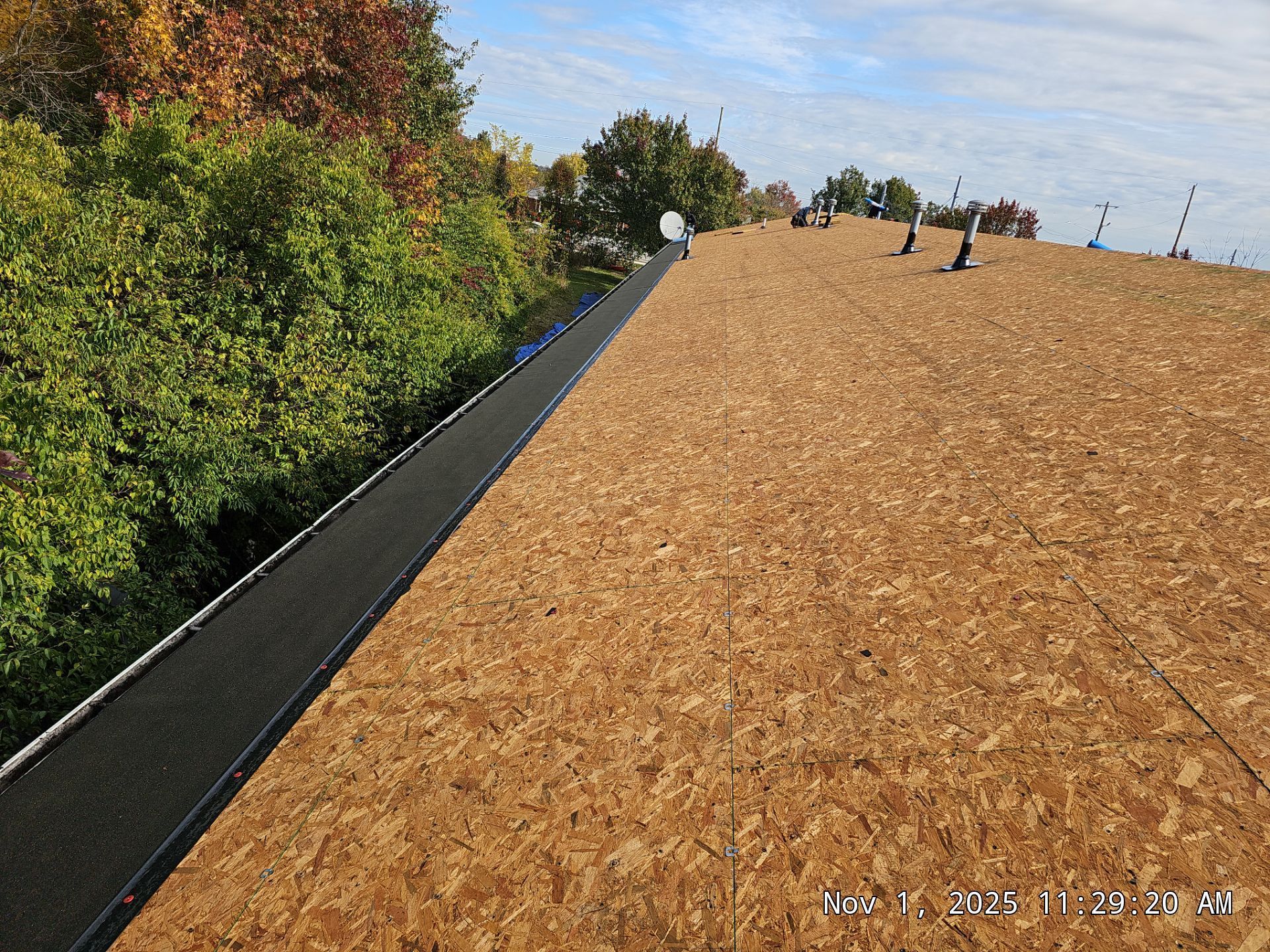 View of a roof covered in wood sheathing, with a black strip along the edge and trees in the background.