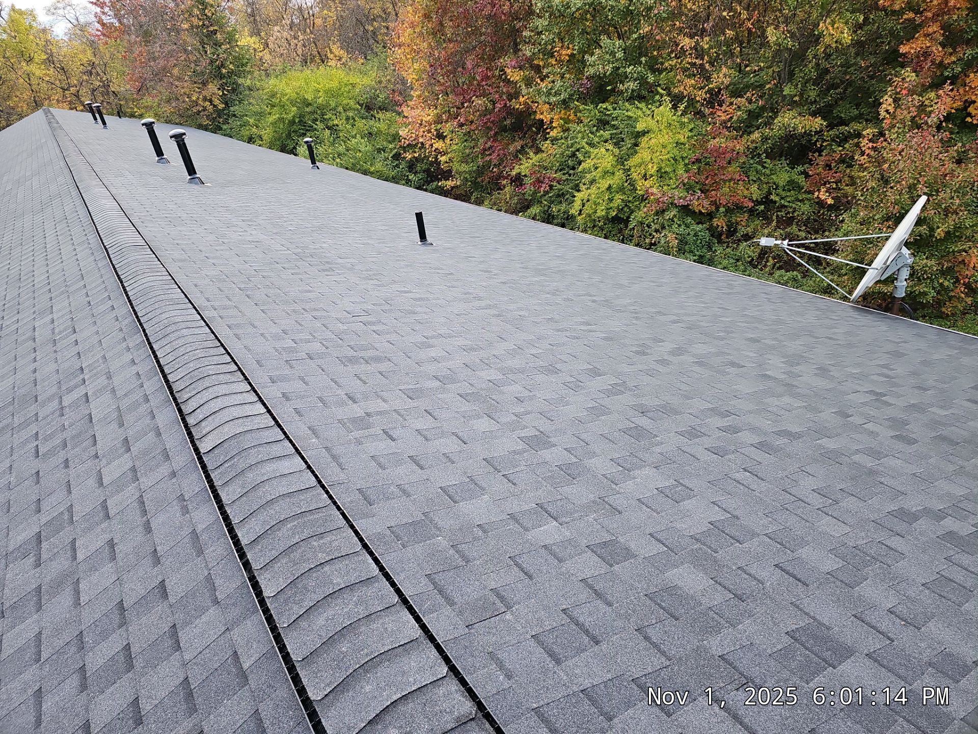 Gray shingle roof with vents and a satellite dish, autumn trees in the background.