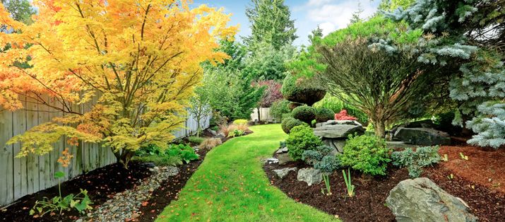 Beautiful backyard landscape design
