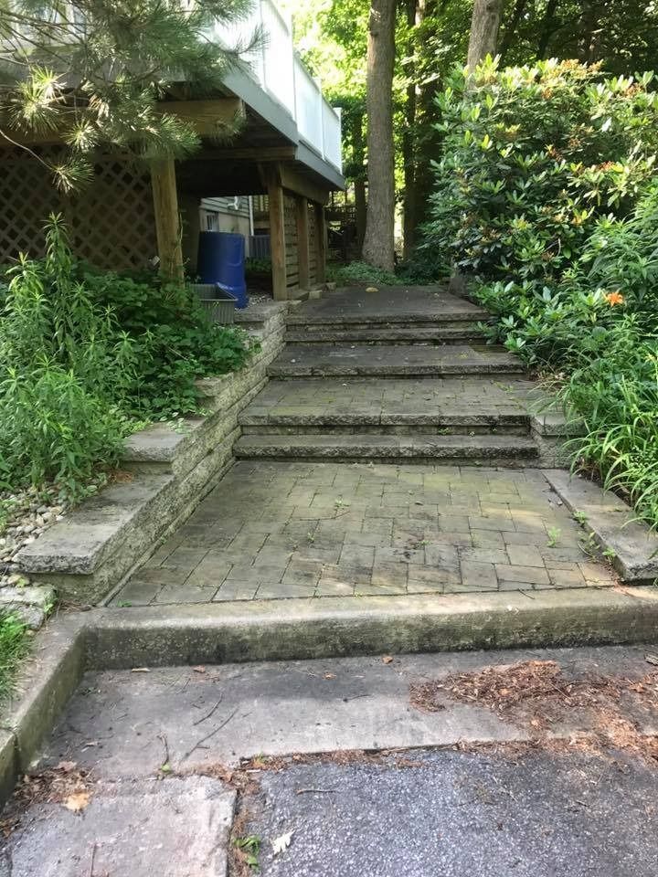 Stone steps leading up a shaded building entrance, surrounded by dense greenery.