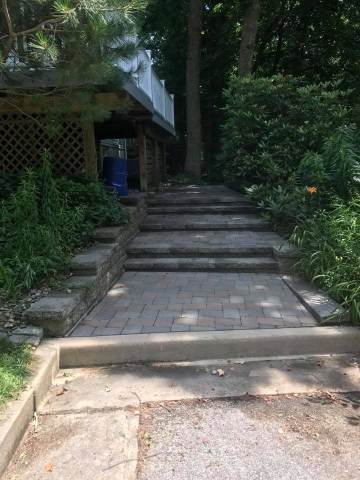 Stone steps and a paved path leading up through a shaded, tree-lined garden entrance