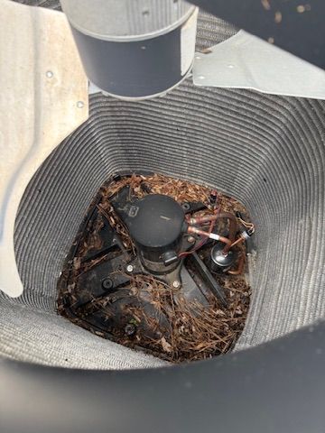 Top view of a clogged outdoor drain with leaves, debris, and a black fan-like part inside the grate.