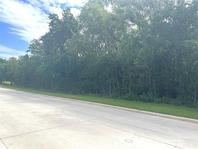 Quiet roadside with dense green trees beside a sunlit concrete path under a partly cloudy sky