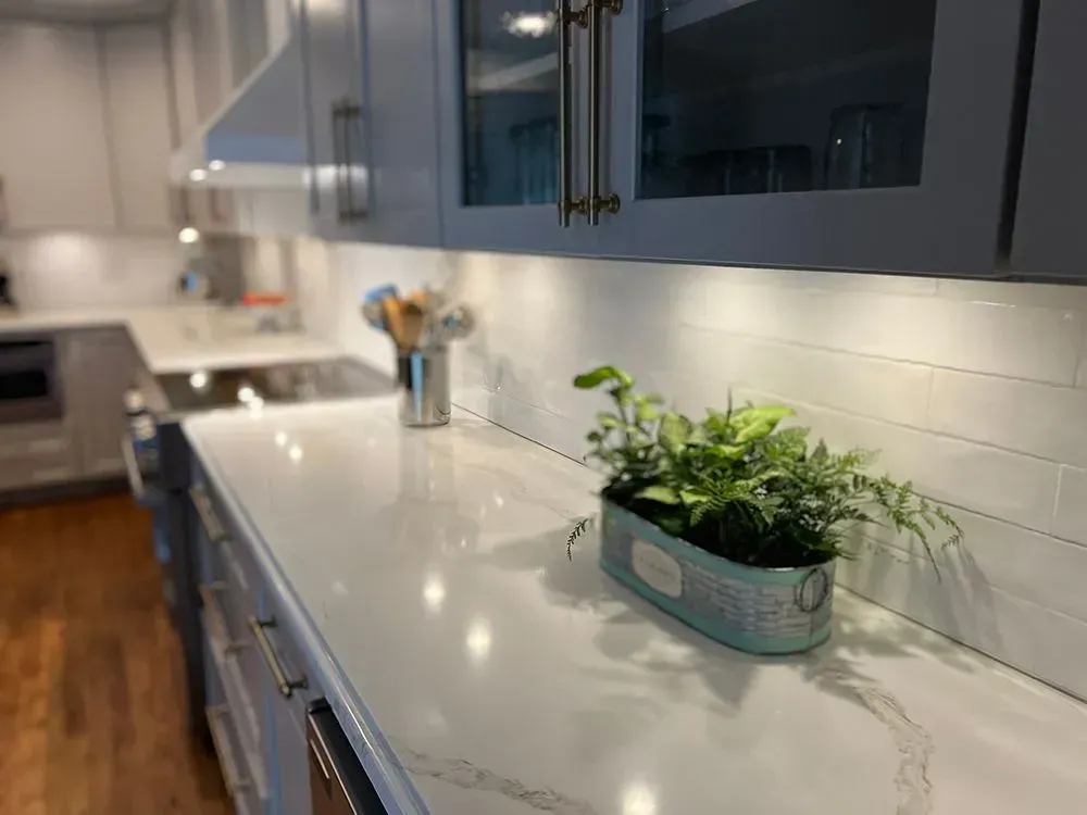 Kitchen countertop with a potted plant, under-cabinet lighting, and gray cabinets.