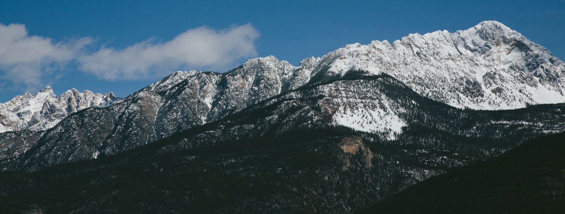Snow-capped mountains against a blue sky, with dark green forested slopes in the foreground.