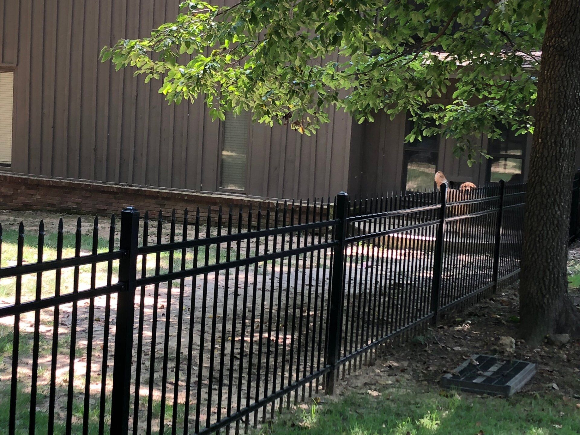Aluminum Fencing