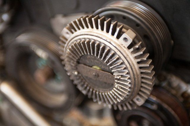 Delivering expert service