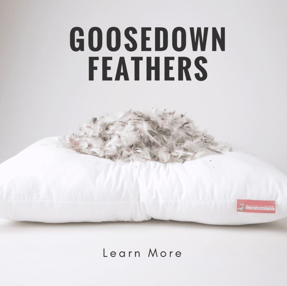 Goosedown Feathers