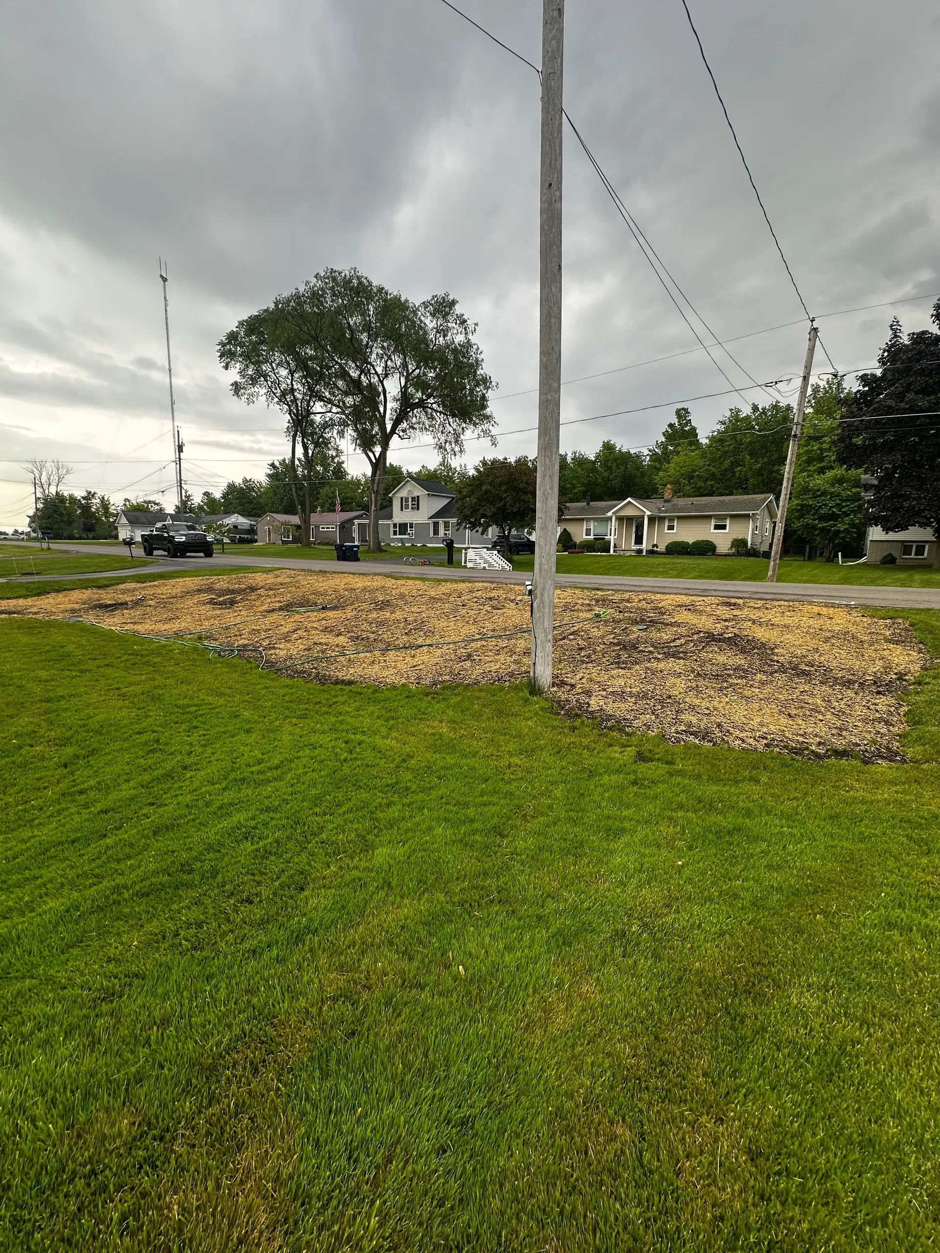 Grassy roadside with a utility pole, rock bed, and trees under cloudy skies