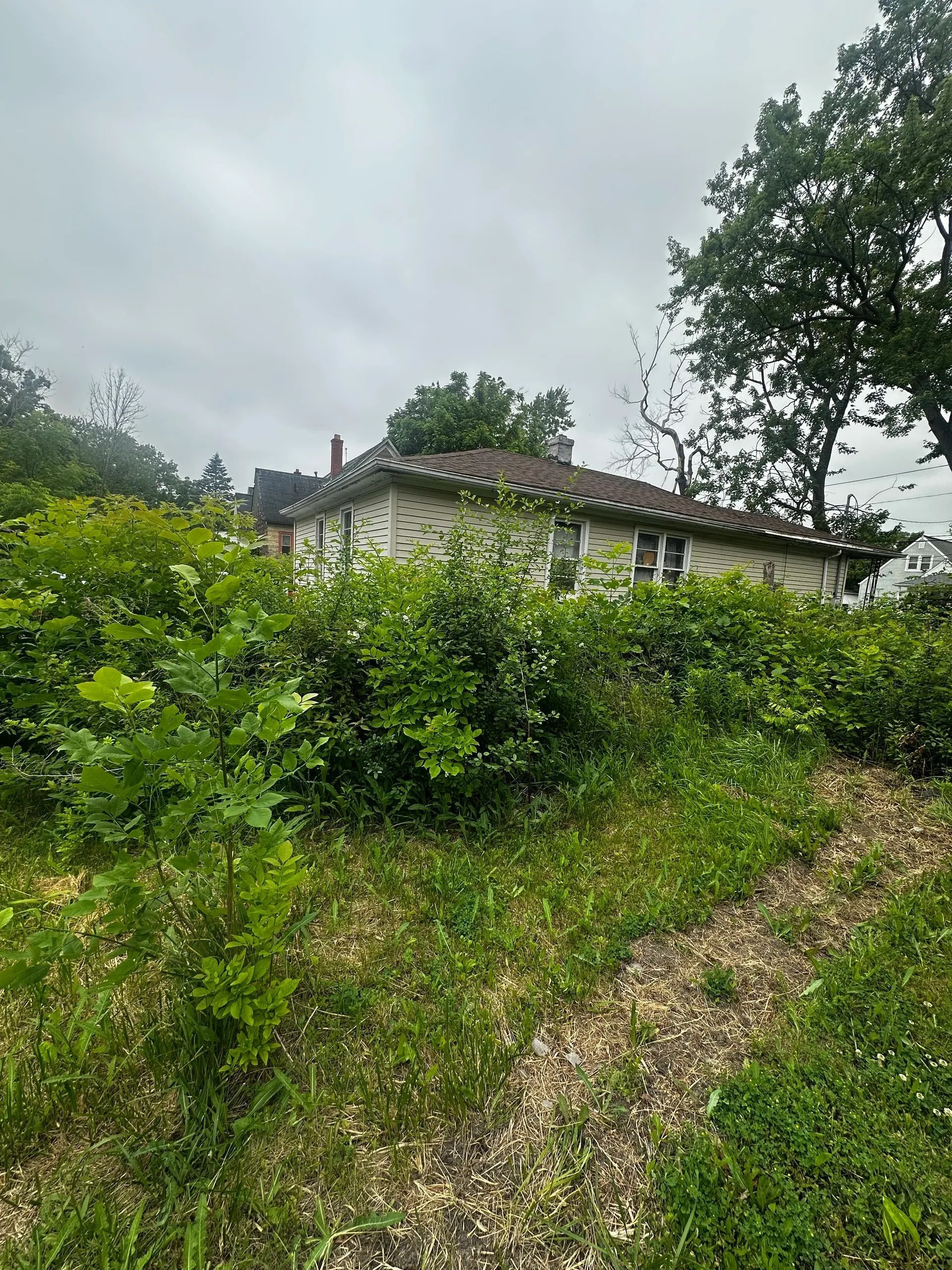 Overgrown garden path leading to a small house under a cloudy sky