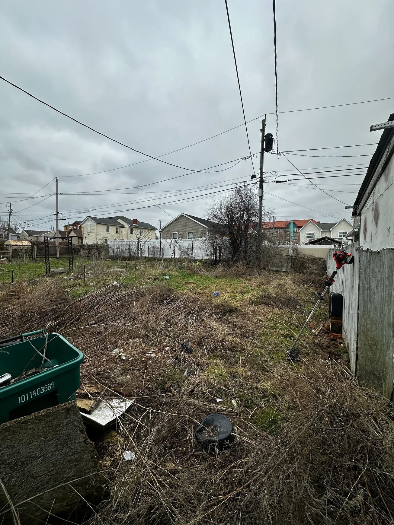 Overgrown yard with scattered debris, utility poles, and houses under a cloudy sky