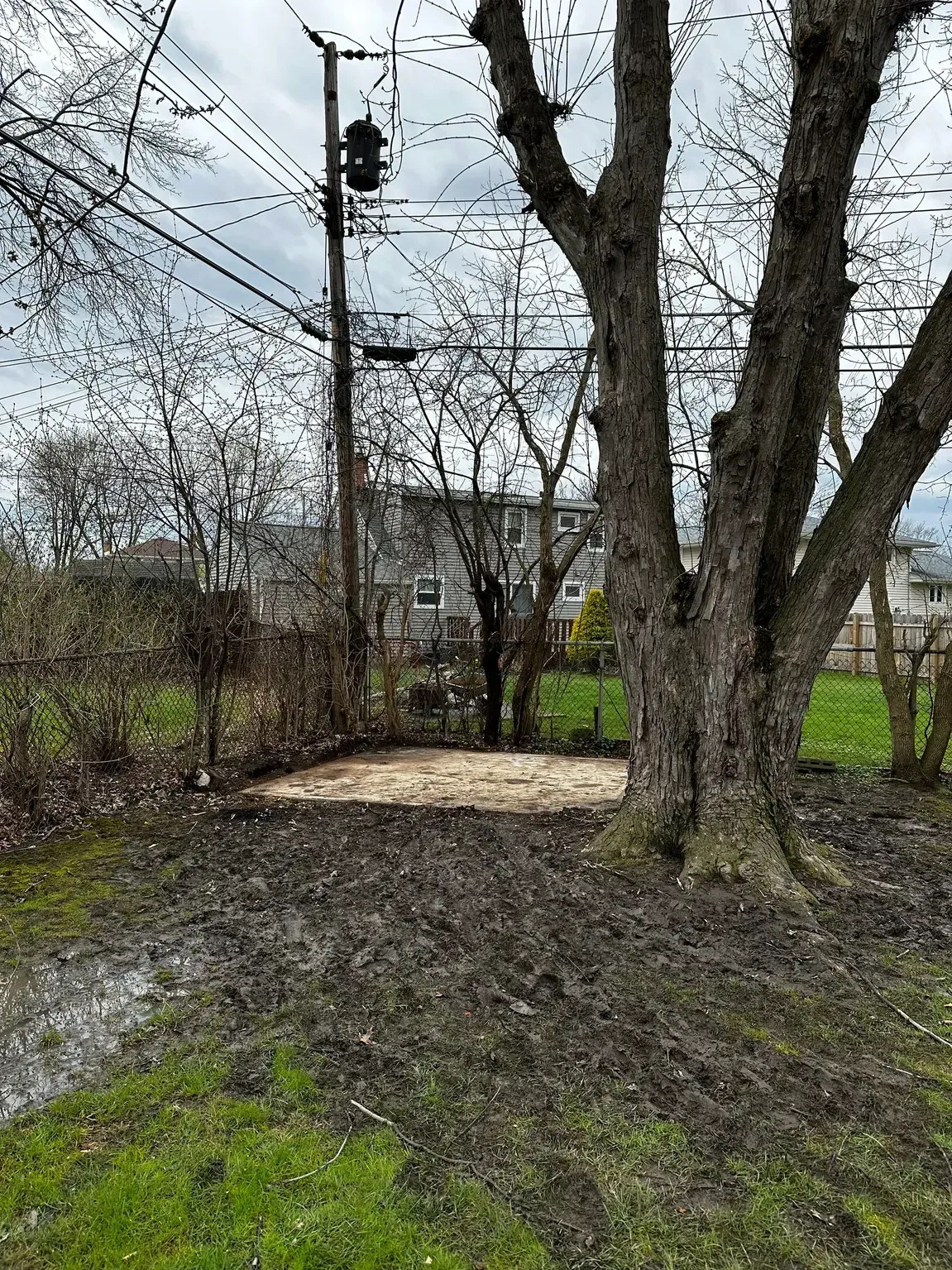 Muddy yard with large trees, a utility pole, and a small fenced structure in the background