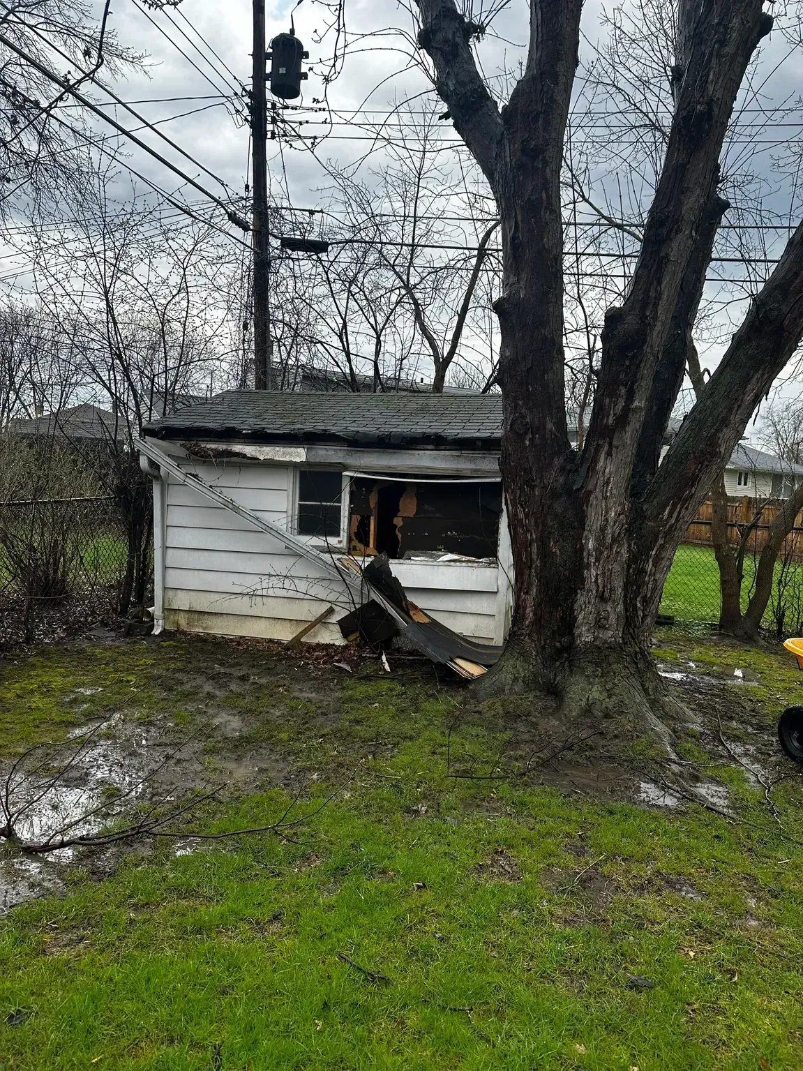Small white shed in a muddy yard with a large tree and power lines overhead