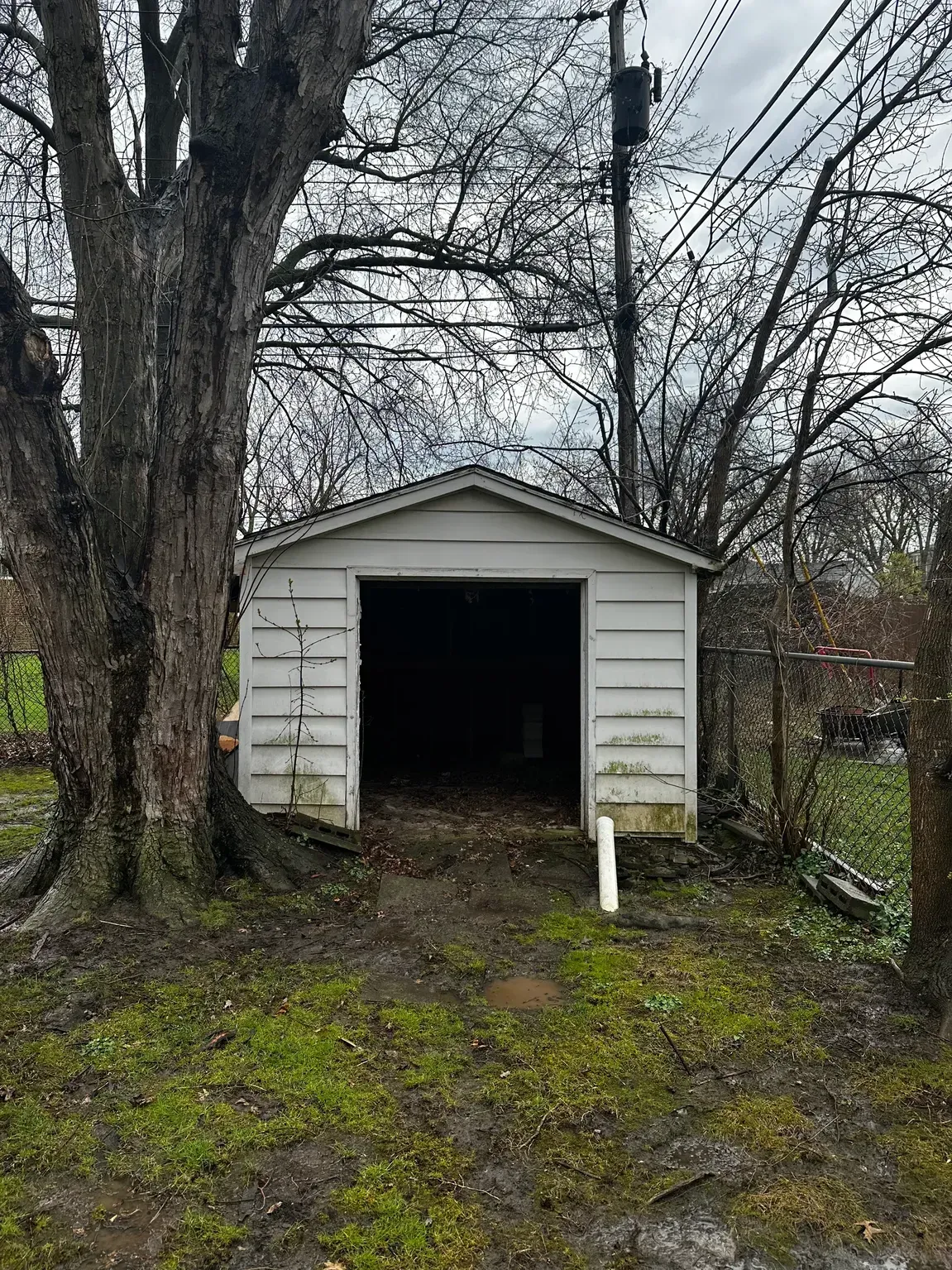 Small white garage with open doorway in a wet yard beside a large tree and overhead power lines
