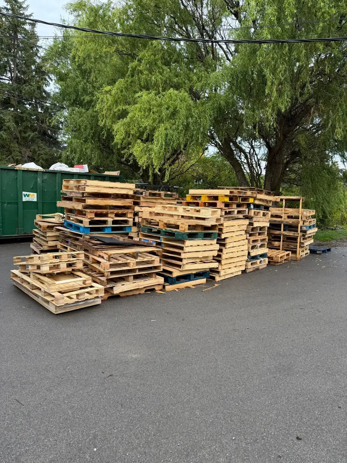 Stacks of wooden pallets beside green dumpsters on an asphalt lot under trees.